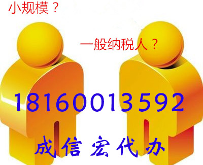 小規(guī)模納稅人申報納稅